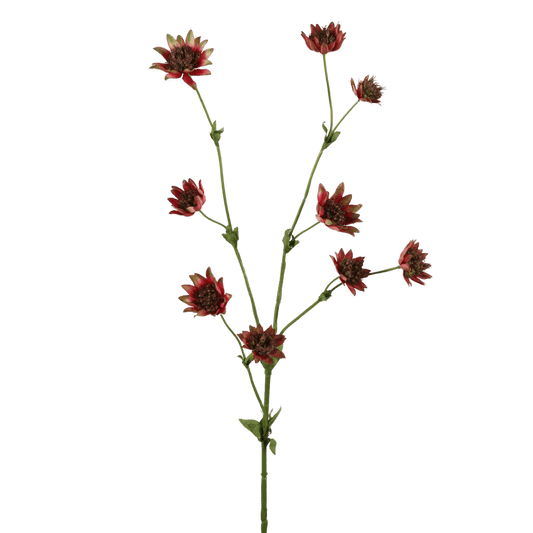 Viv! Home Luxuries Astrantia - kunstbloem - 73cm - paars - topkwaliteit - Viv! Home Luxuries