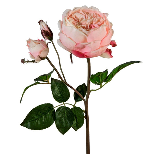 Viv! Home Luxuries David Austin roos - zijden bloem - lichtroze - topkwaliteit - Viv! Home Luxuries