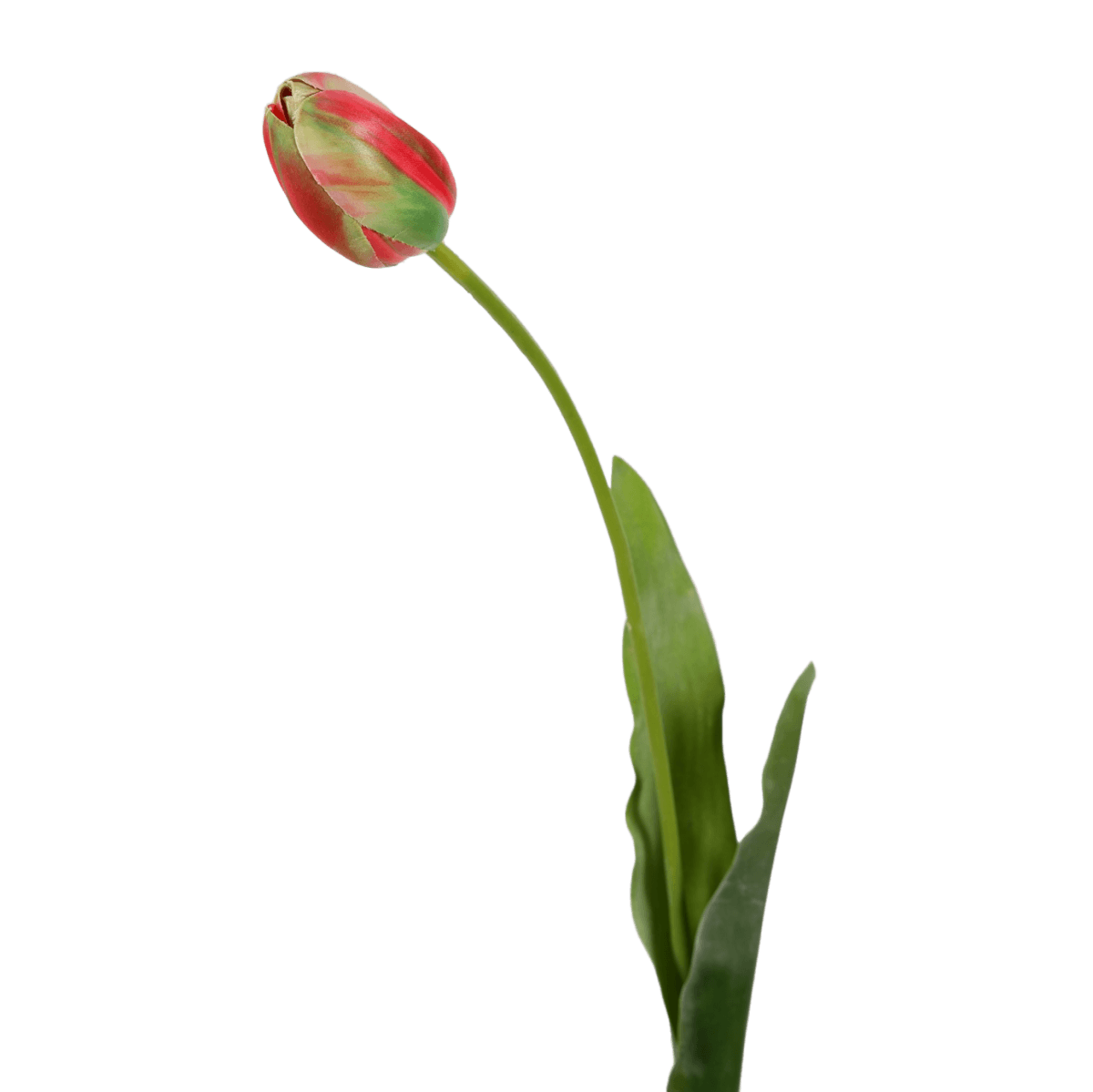 Viv! Home Luxuries Franse Tulp - zijden bloem - rood groen - 66cm - Topkwaliteit - Viv! Home Luxuries