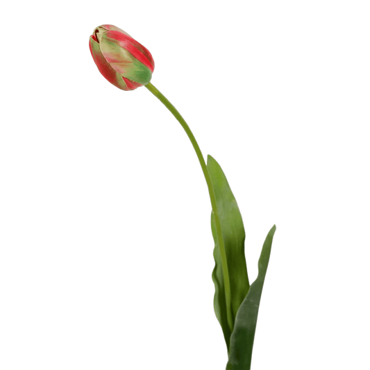 Viv! Home Luxuries Franse Tulp - zijden bloem - rood groen - 66cm - Topkwaliteit - Viv! Home Luxuries
