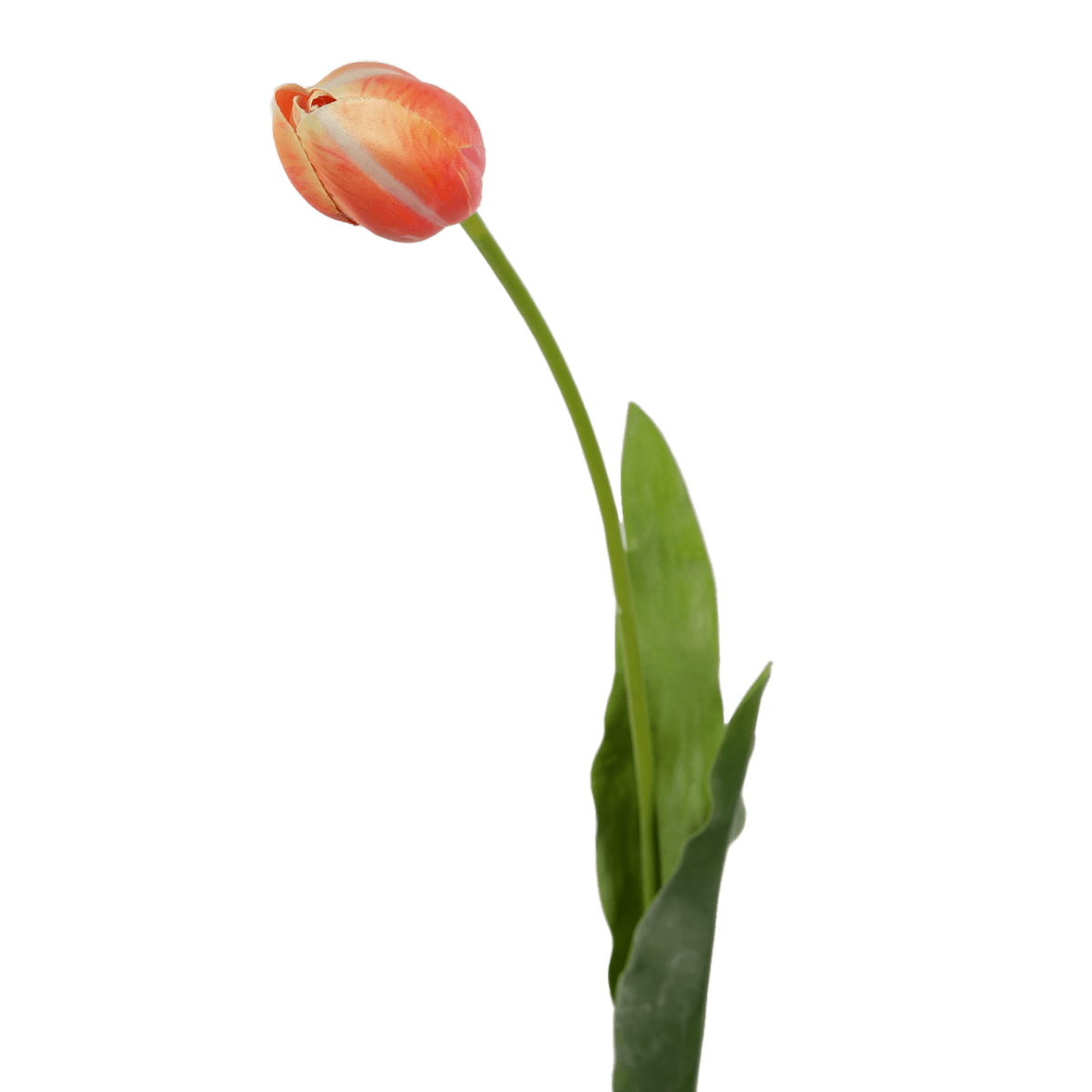 Viv! Home Luxuries Franse Tulp - zijden bloem - roze perzik - 66cm - Topkwaliteit - Viv! Home Luxuries