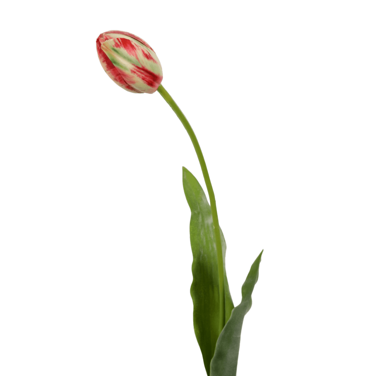 Viv! Home Luxuries Franse Tulp - zijden bloem - wit rood - 66cm - Topkwaliteit - Viv! Home Luxuries