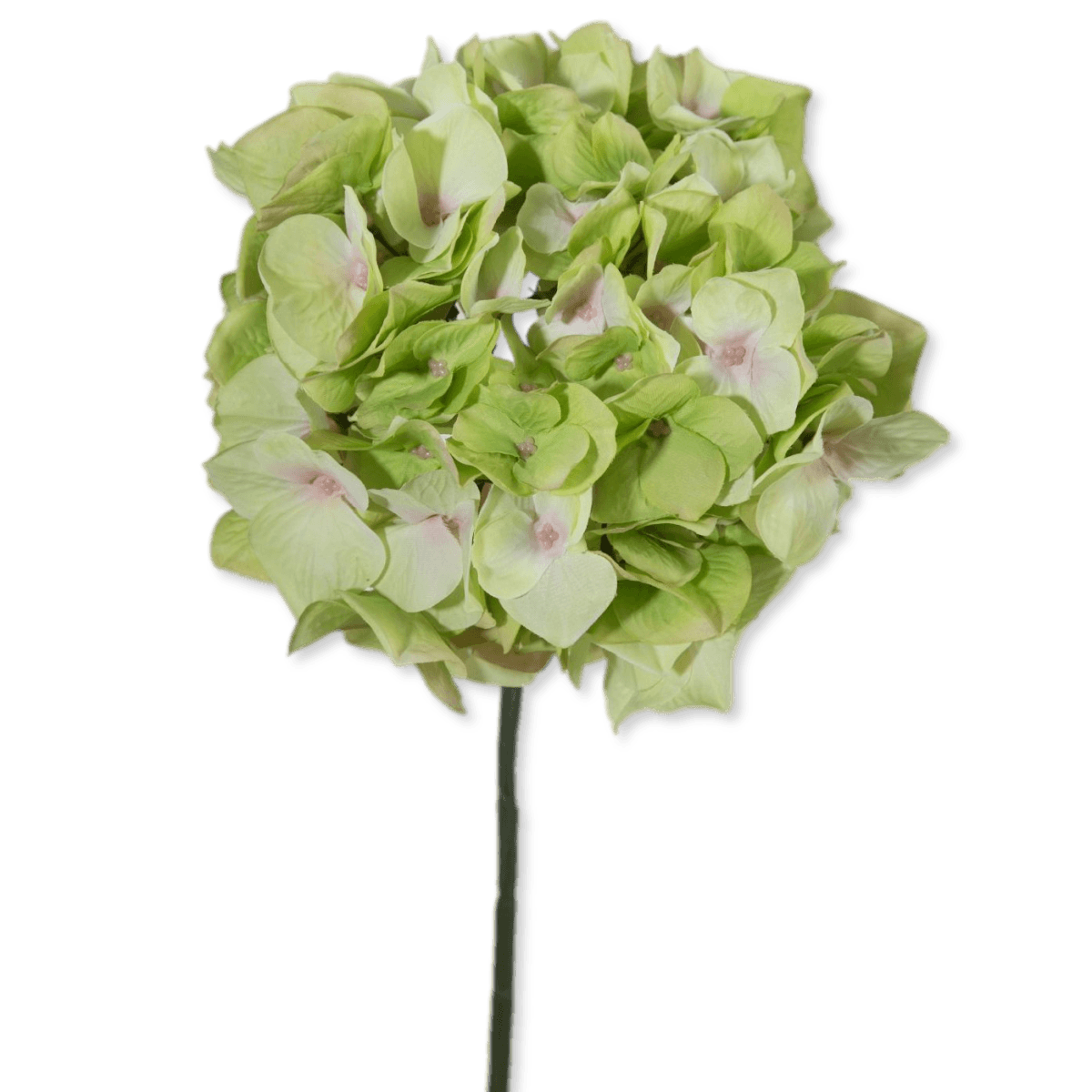 Viv! Home Luxuries Hortensia - zijden bloem - groen roze - 48cm - topkwaliteit - Viv! Home Luxuries