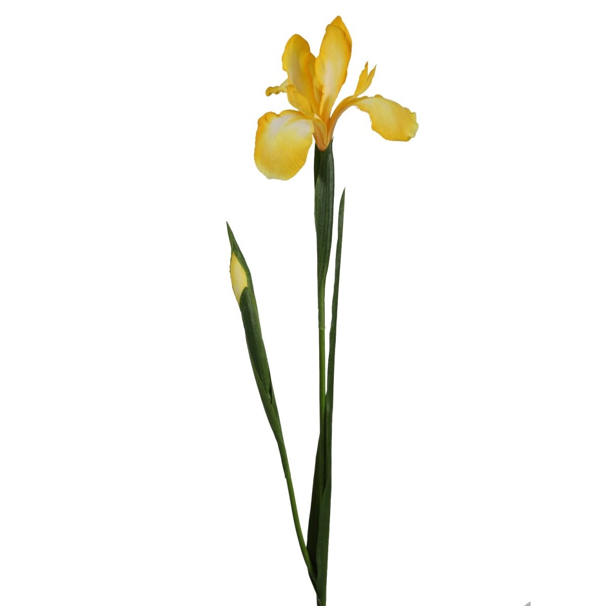 Viv! Home Luxuries Iris - zijden bloem - geel - topkwaliteit - Viv! Home Luxuries