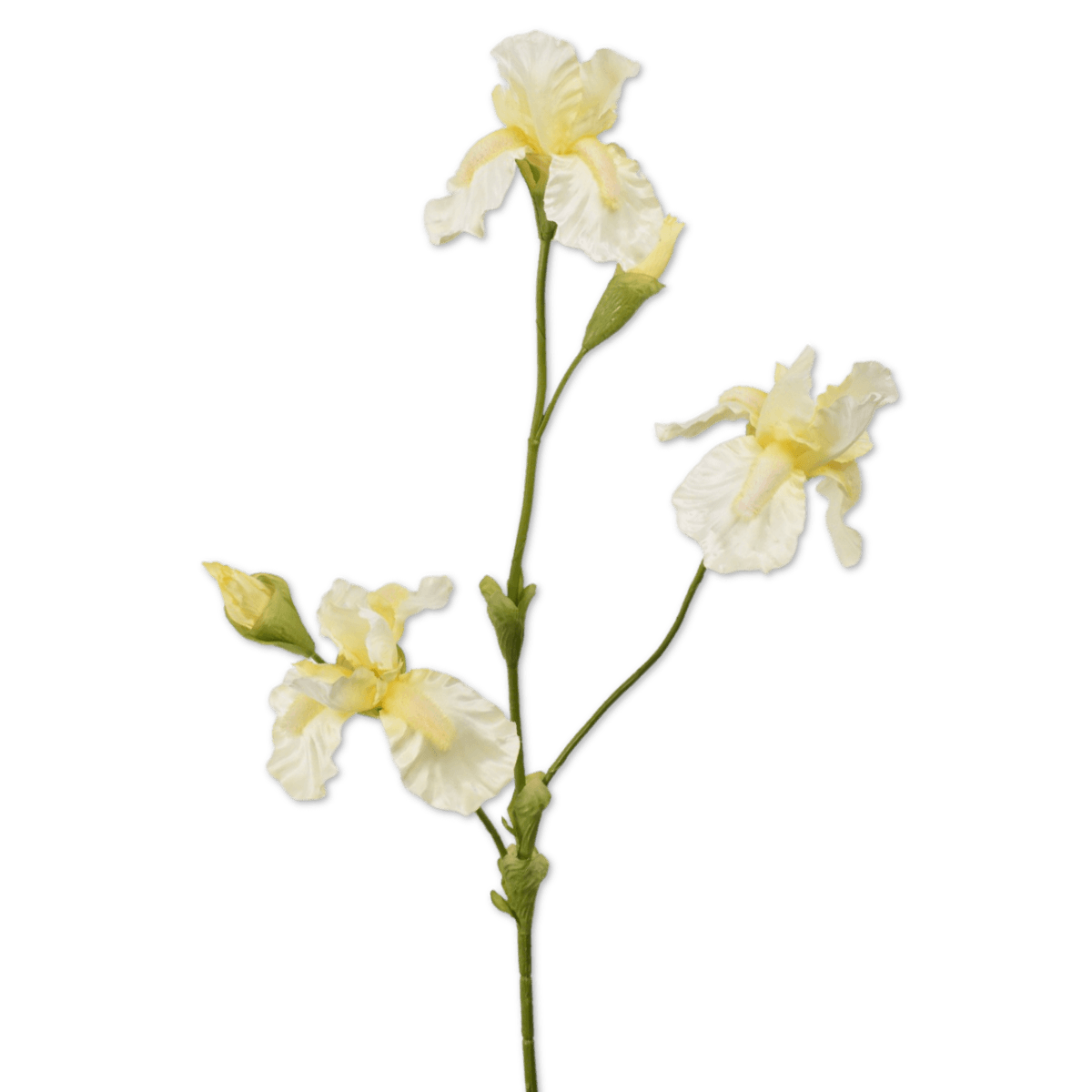 Viv! Home Luxuries Iris - zijden bloem - wit geel - 102cm - topkwaliteit - Viv! Home Luxuries
