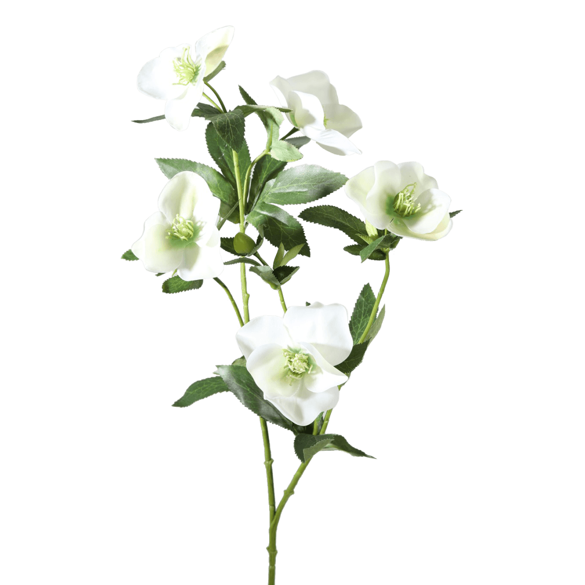 Viv! Home Luxuries Kerstroos Hellebores - kunstbloem - 74cm - wit - topkwaliteit - Viv! Home Luxuries