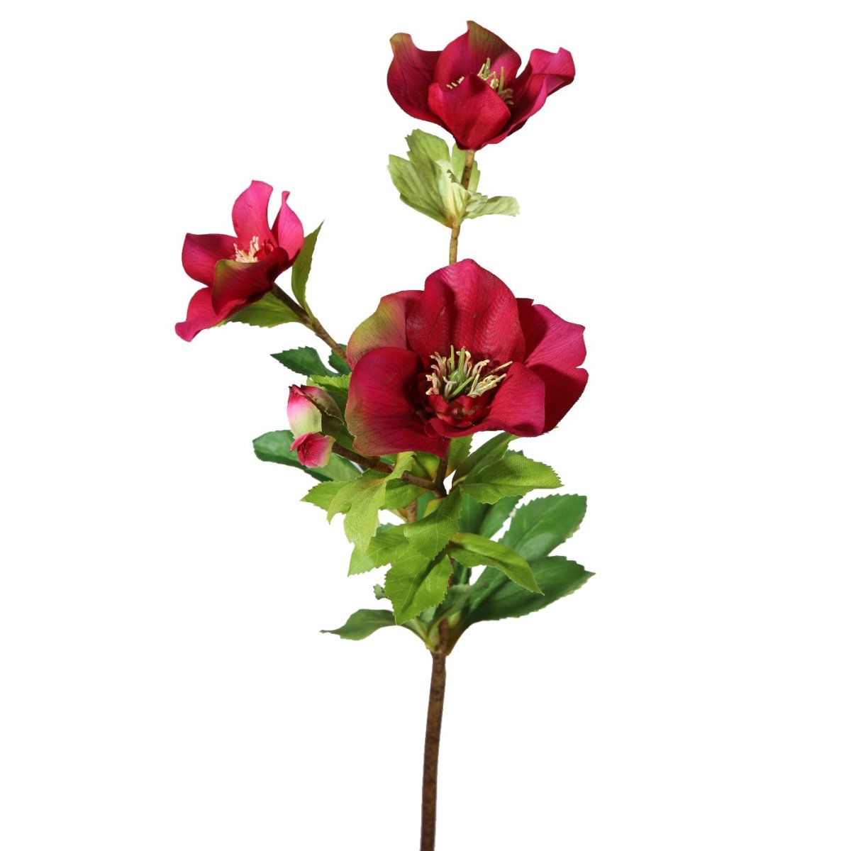 Viv! Home Luxuries Kerstroos Helleborus - zijden bloem - rood - topkwaliteit - Viv! Home Luxuries