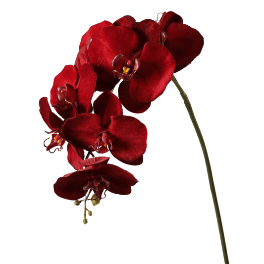 Viv! Home Luxuries Orchidee Butterfly - zijden bloem - donker rood - 86cm - topkwaliteit - Viv! Home Luxuries