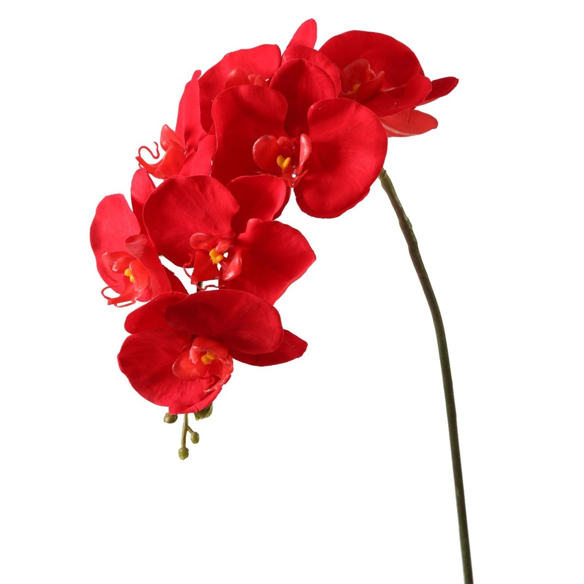 Viv! Home Luxuries Orchidee Butterfly - zijden bloem - rood - 86cm - topkwaliteit - Viv! Home Luxuries