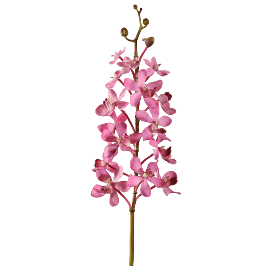 Viv! Home Luxuries Orchidee Vanda - zijden bloem - paars roze - 70cm - Viv! Home Luxuries