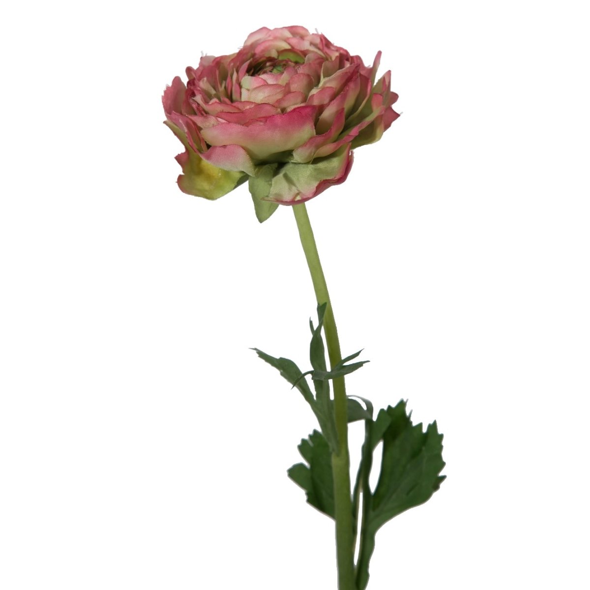Viv! Home Luxuries Ranonkel - zijden bloem - roze groen - topkwaliteit - Viv! Home Luxuries