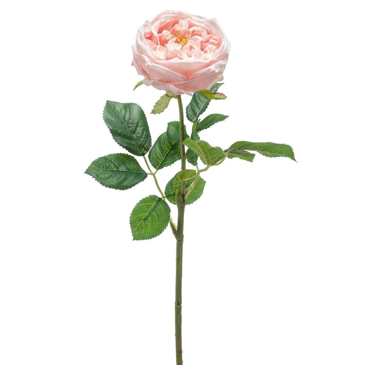 Viv! Home Luxuries Roos - zijden bloem - licht roze - 60cm - topkwaliteit - Viv! Home Luxuries