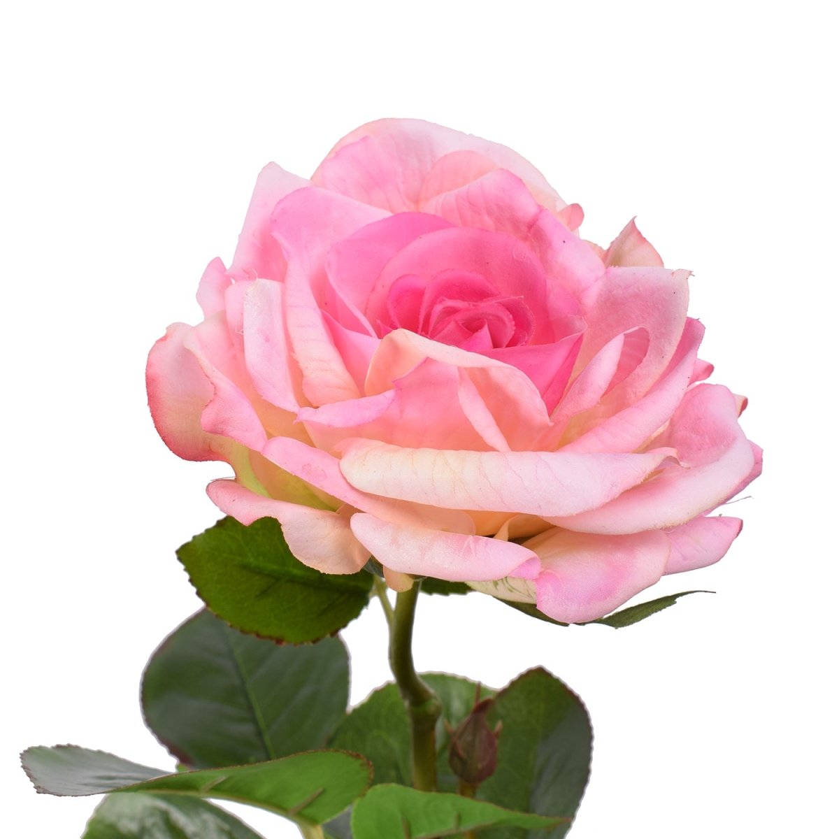 Viv! Home Luxuries Roos - zijden bloem - roze - 68cm - topkwaliteit - Viv! Home Luxuries