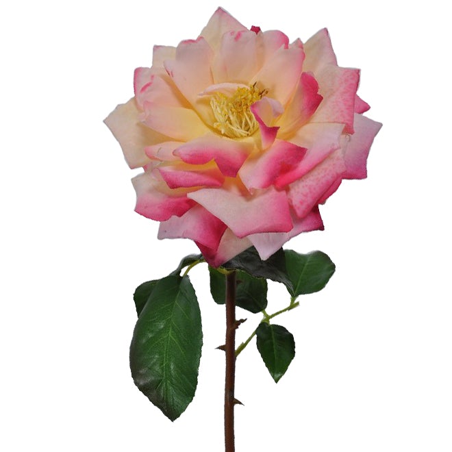 Viv! Home Luxuries Roos - zijden bloem - roze geel - 51cm - topkwaliteit - Viv! Home Luxuries