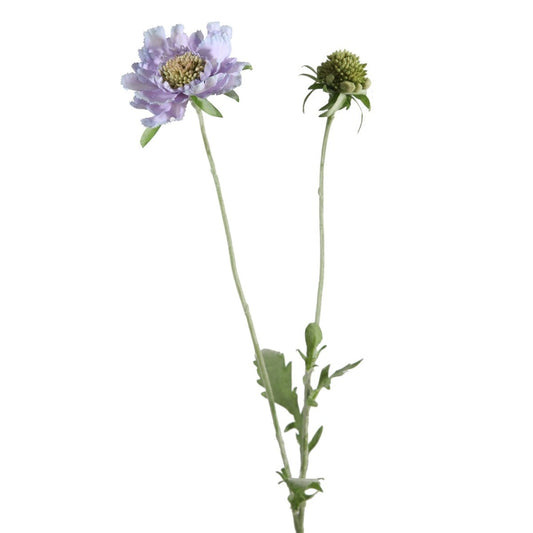 Viv! Home Luxuries Scabiosa - zijden bloem - paars - topkwaliteit - Viv! Home Luxuries