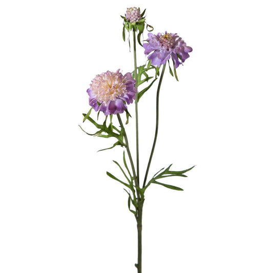 Viv! Home Luxuries Scabiosa - zijden bloem - paars - topkwaliteit - Viv! Home Luxuries