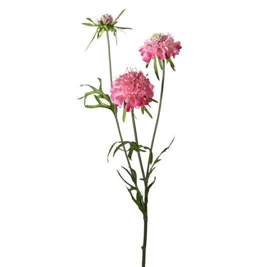 Viv! Home Luxuries Scabiosa - zijden bloem - roze - topkwaliteit - Viv! Home Luxuries