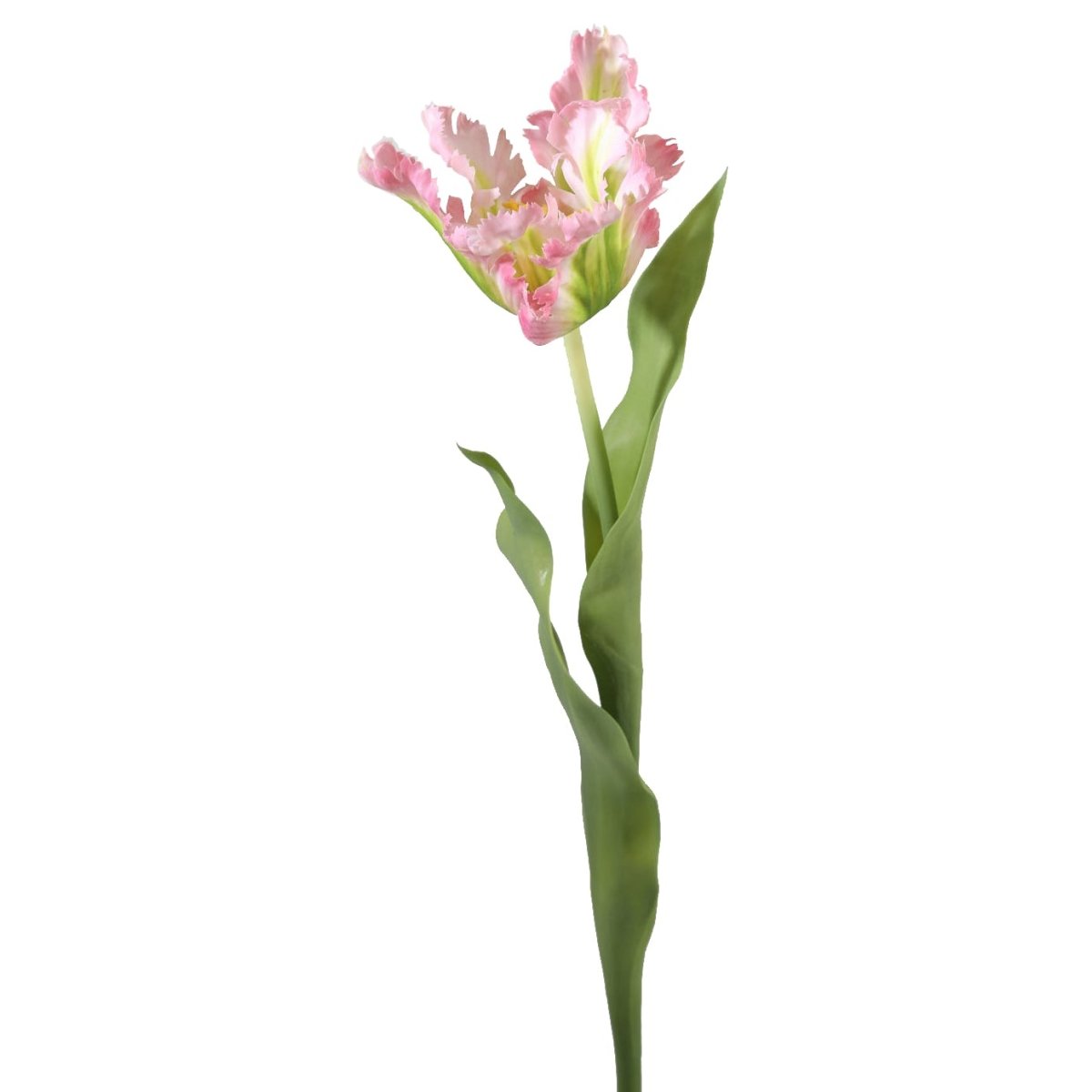 Viv! Home Luxuries Tulp Papegaai - zijden bloem - roze groen - Topkwaliteit - Viv! Home Luxuries