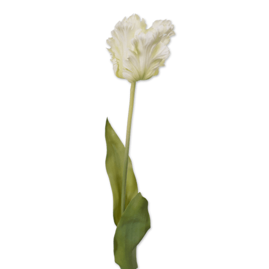 Viv! Home Luxuries Tulp Papegaai - zijden bloem - wit - 71cm - Topkwaliteit - Viv! Home Luxuries