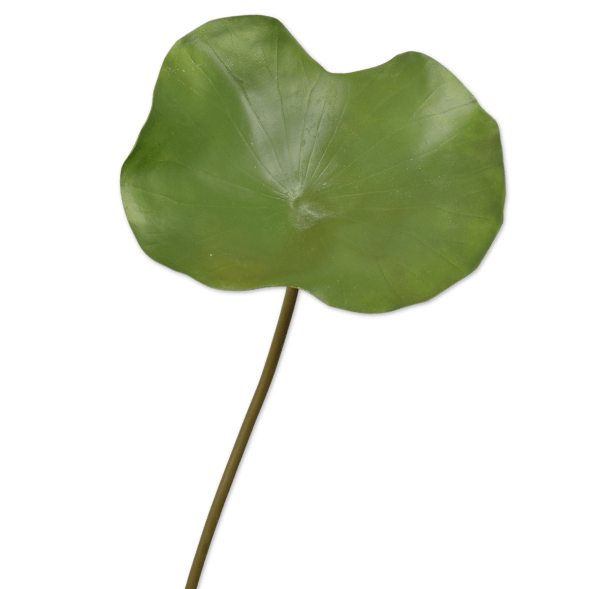 Viv! Home Luxuries Waterlelie blad - kunstbloem - groen - 96cm - topkwaliteit - Viv! Home Luxuries