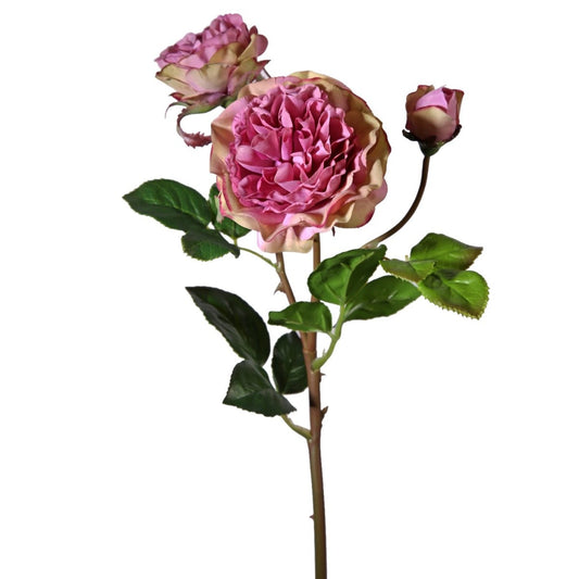 Viv! Home Luxuries Wilde Engelse roos - zijden bloem - lila roze - topkwaliteit - Viv! Home Luxuries