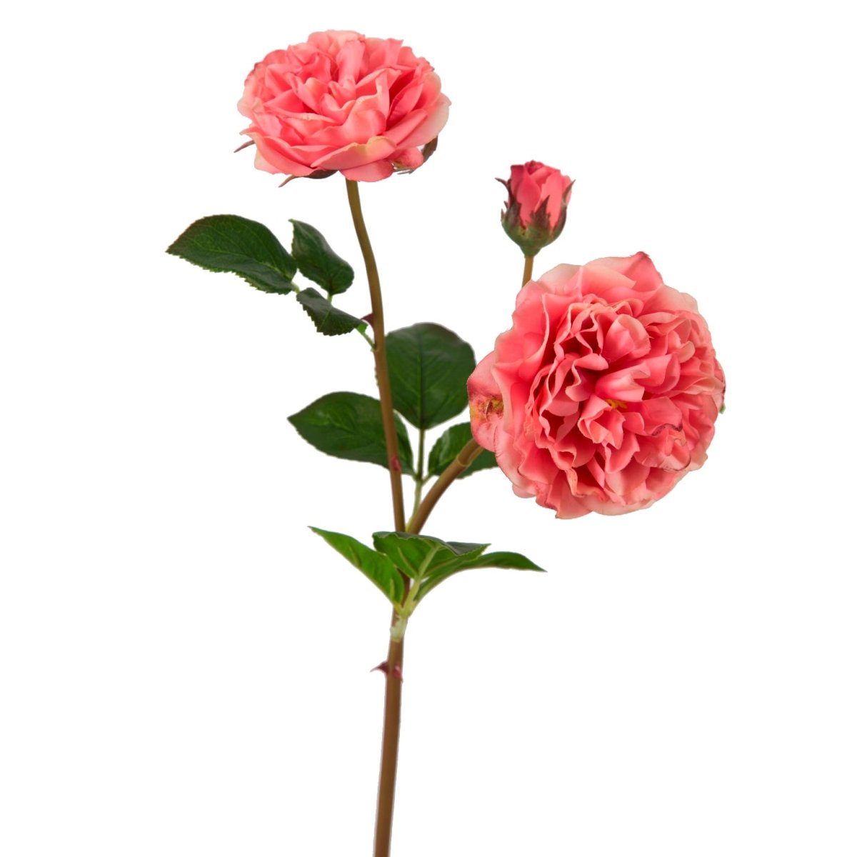 Viv! Home Luxuries Wilde Engelse roos - zijden bloem - roze - topkwaliteit - Viv! Home Luxuries