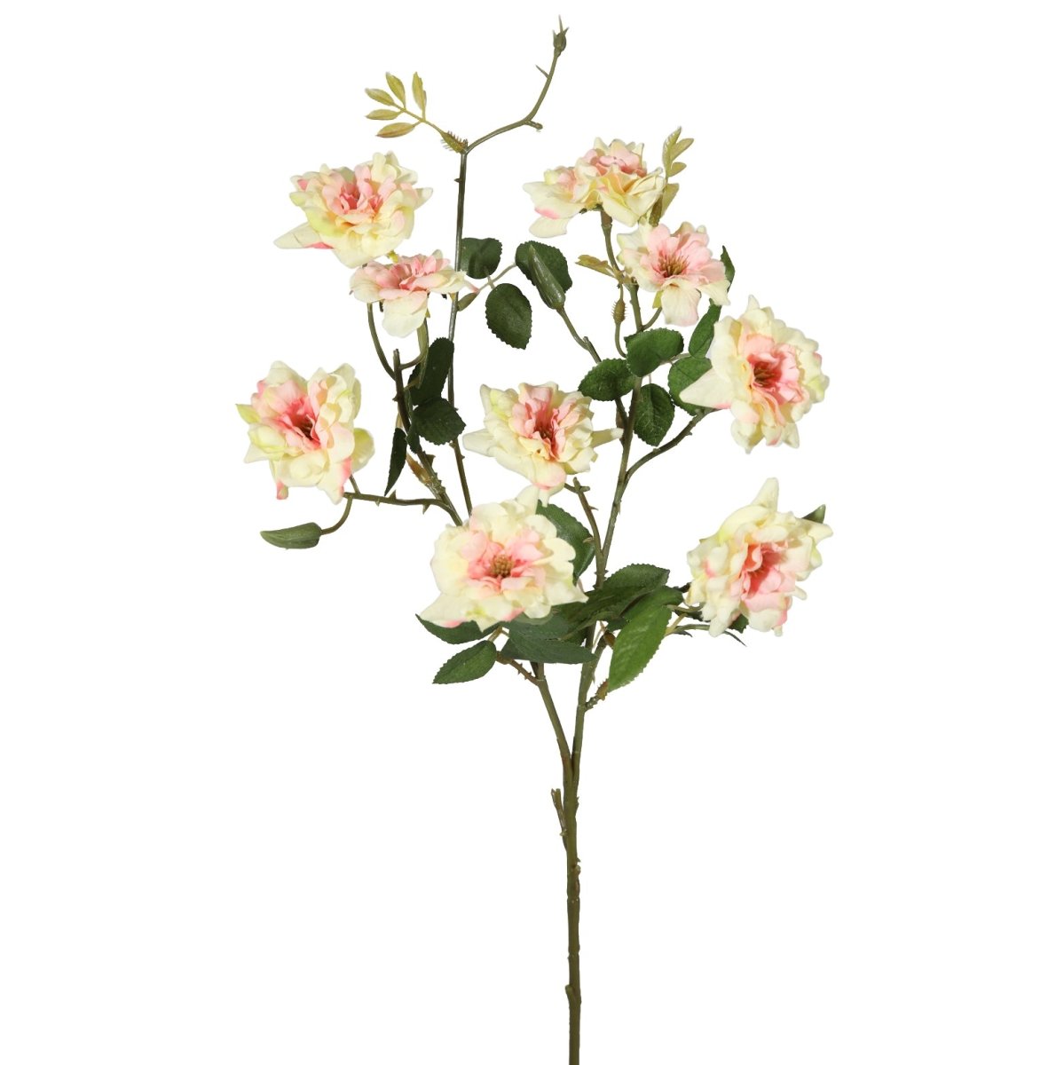Viv! Home Luxuries Wilde roos - zijden bloem - groen roze - 69cm - topkwaliteit - Viv! Home Luxuries
